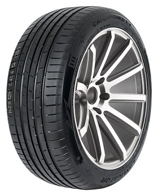 265/35ZR21 101Y XL CATCHPOWER EV