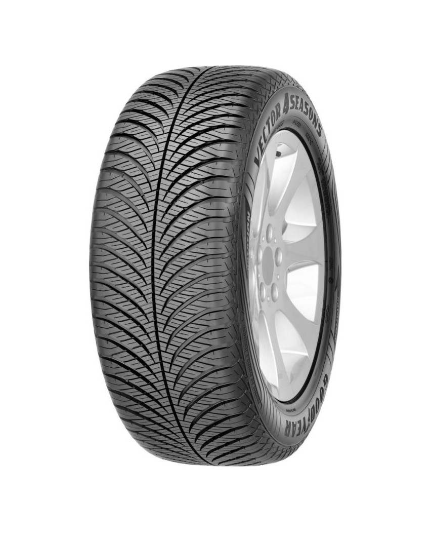 225/45R19 96W XL VECTOR 4SEASONS G2